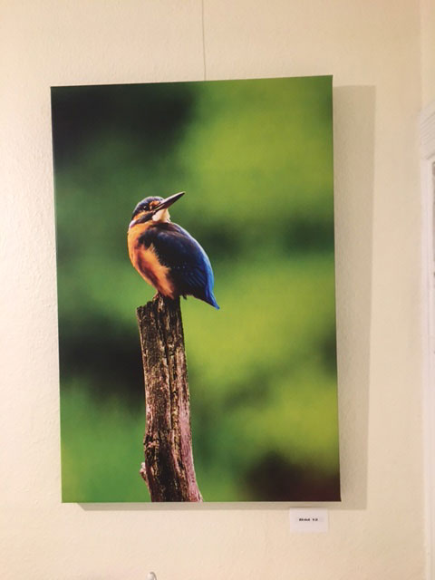Foto von Armin Redoehl